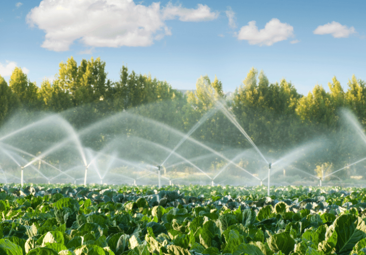 Irrigation image